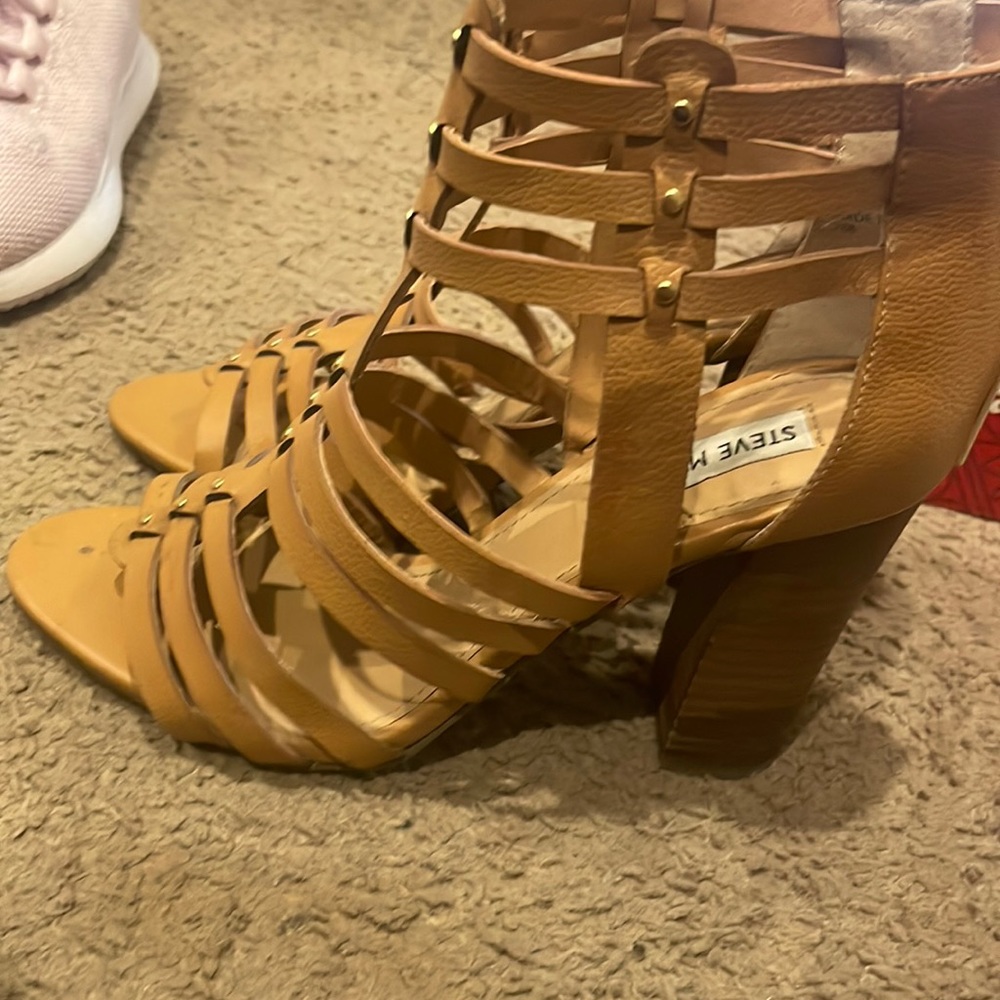 Steve Madden